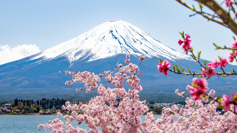 日本語コースのイメージ